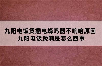 九阳电饭煲插电蜂鸣器不响啥原因 九阳电饭煲响是怎么回事